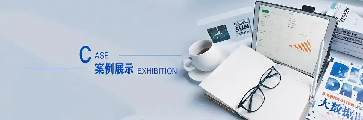 河北软件开发
